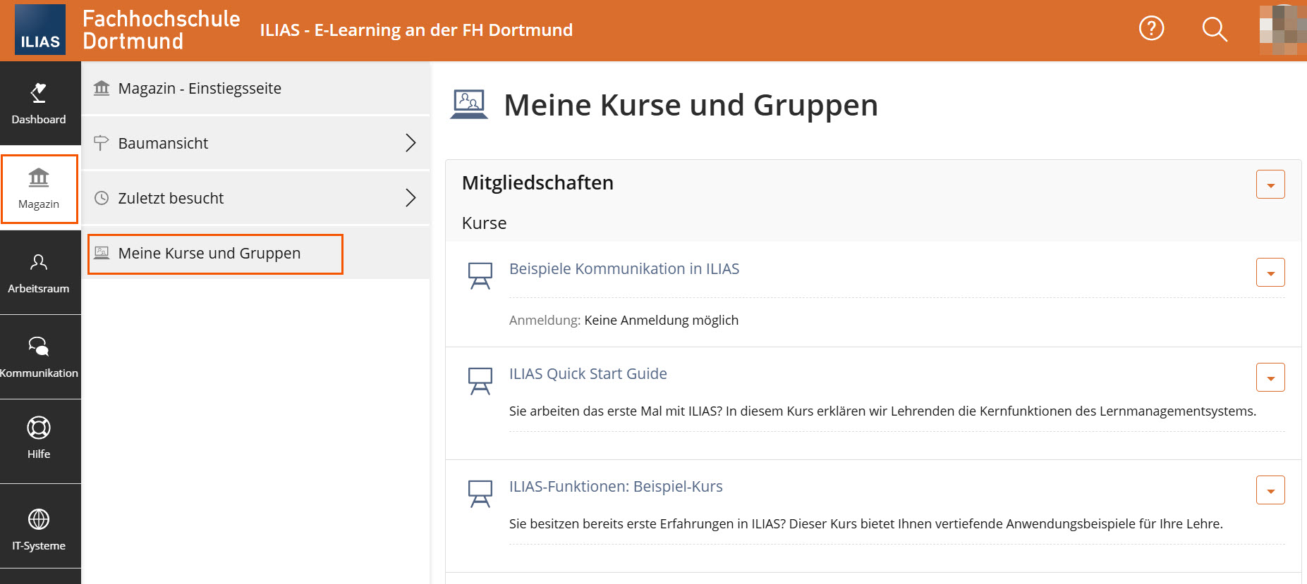Screenshot, Menüpunkt Magazin geöffnet, Meine Kurse und Gruppen hervorgehoben und werden rechts angezeigt